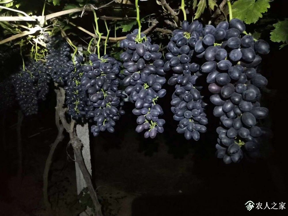 ΢ͼƬ_20190523092524.jpg