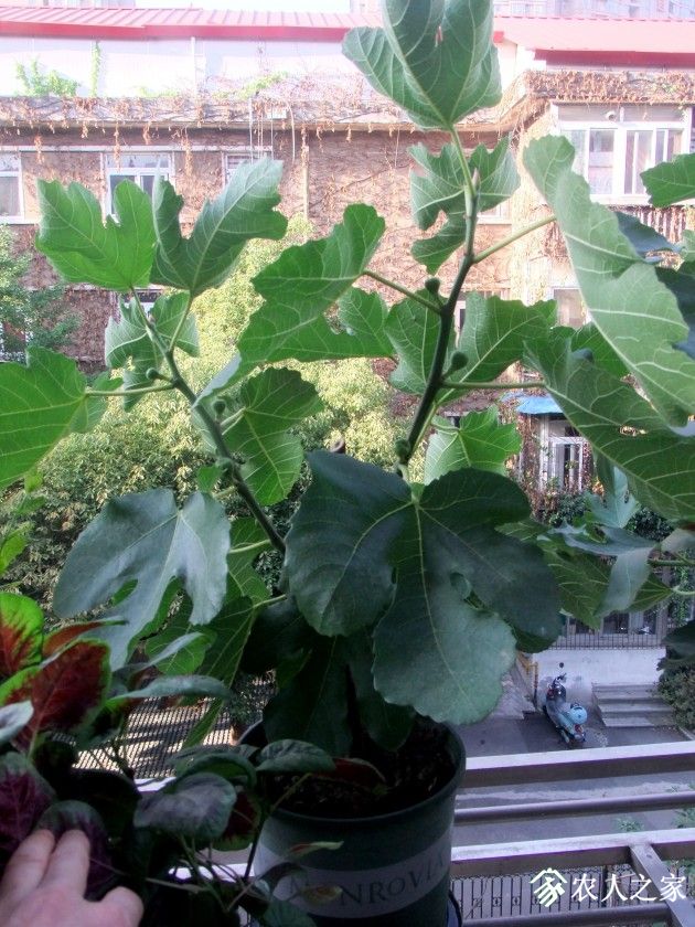 DSCF8758.JPG