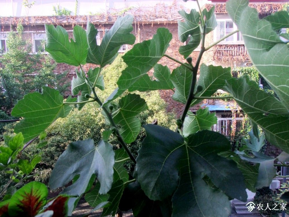 DSCF8759.JPG