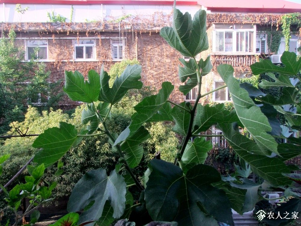DSCF8760.JPG