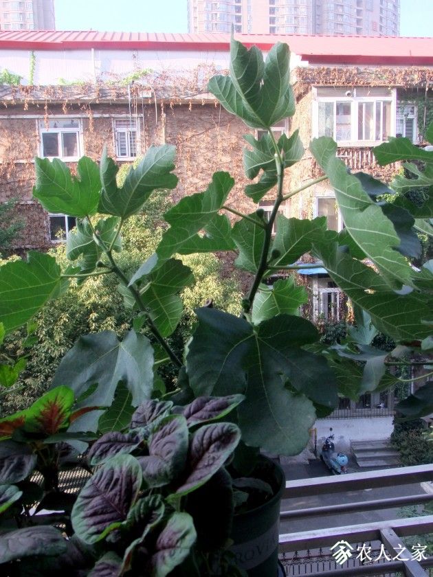 DSCF8761.JPG