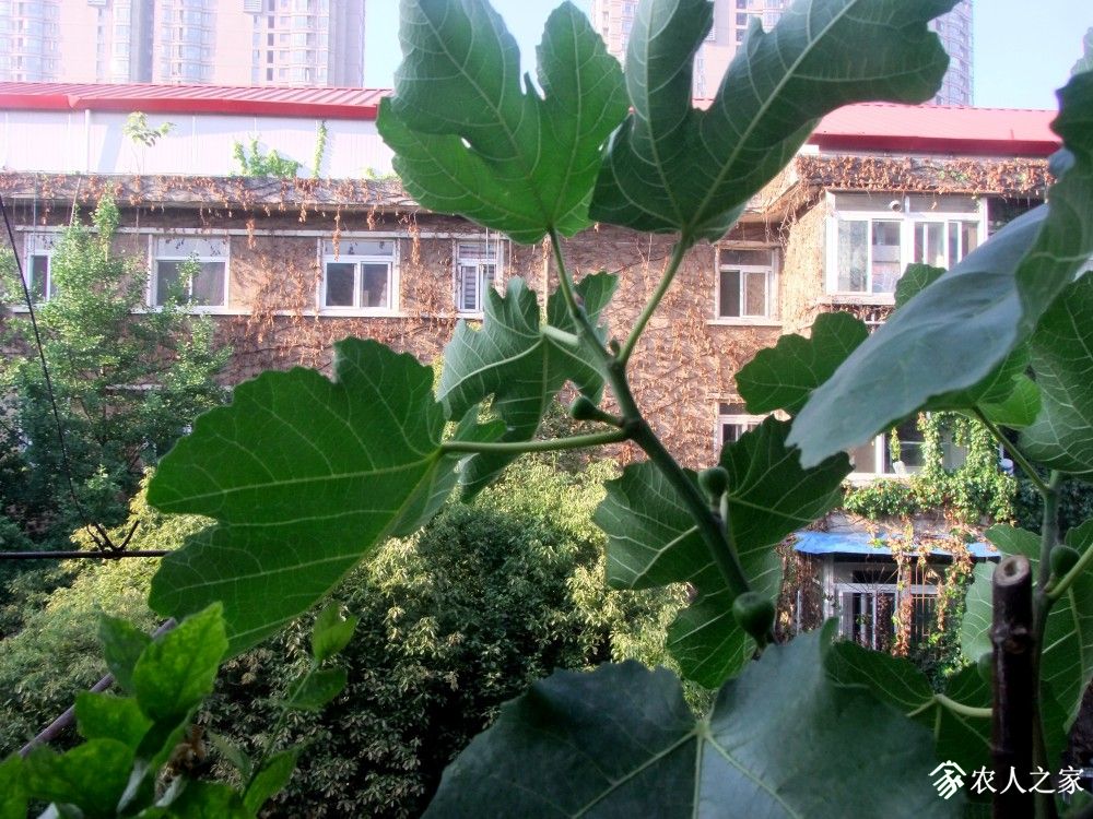DSCF8763.JPG