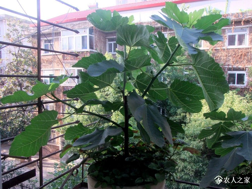 DSCF8764.JPG