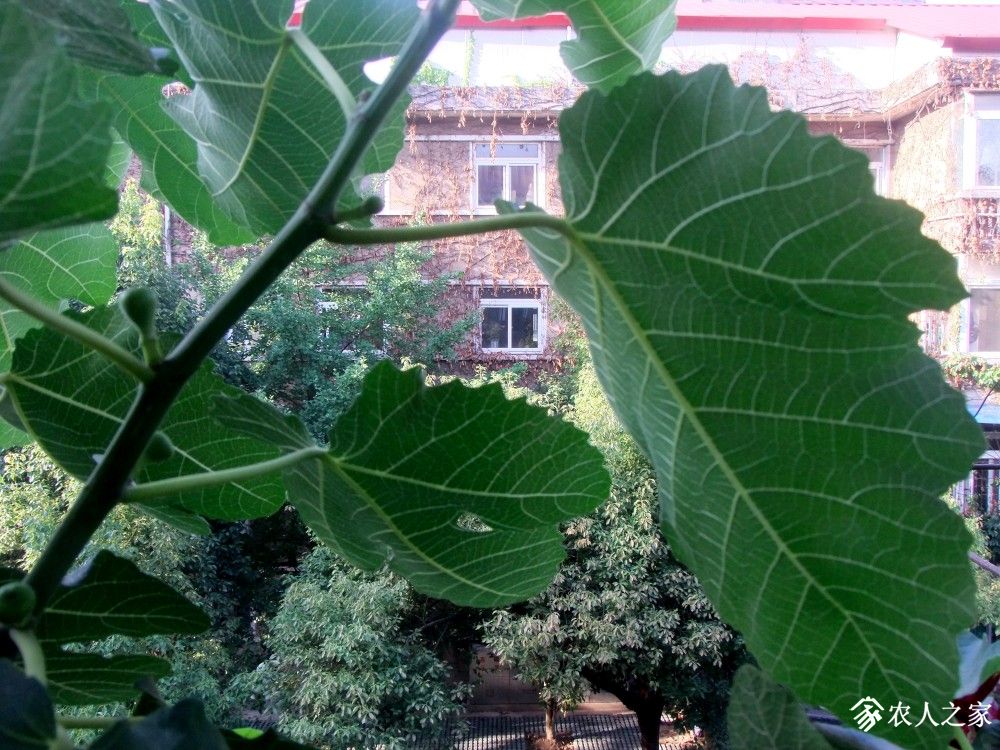 DSCF8765.JPG