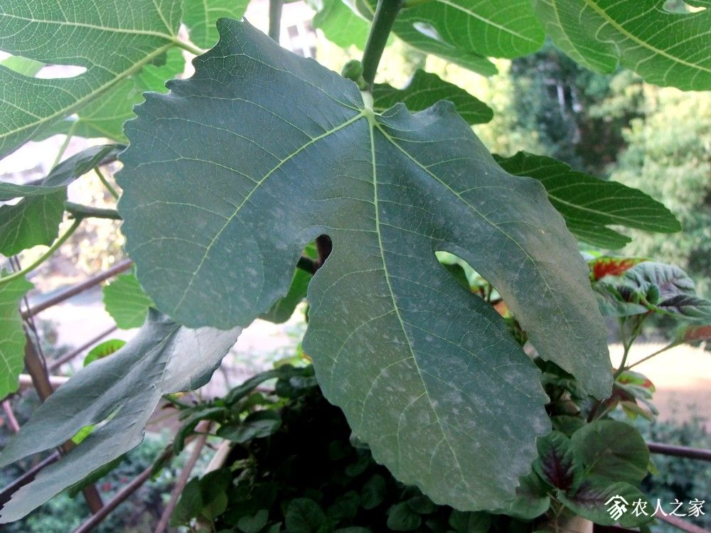 DSCF8766.JPG