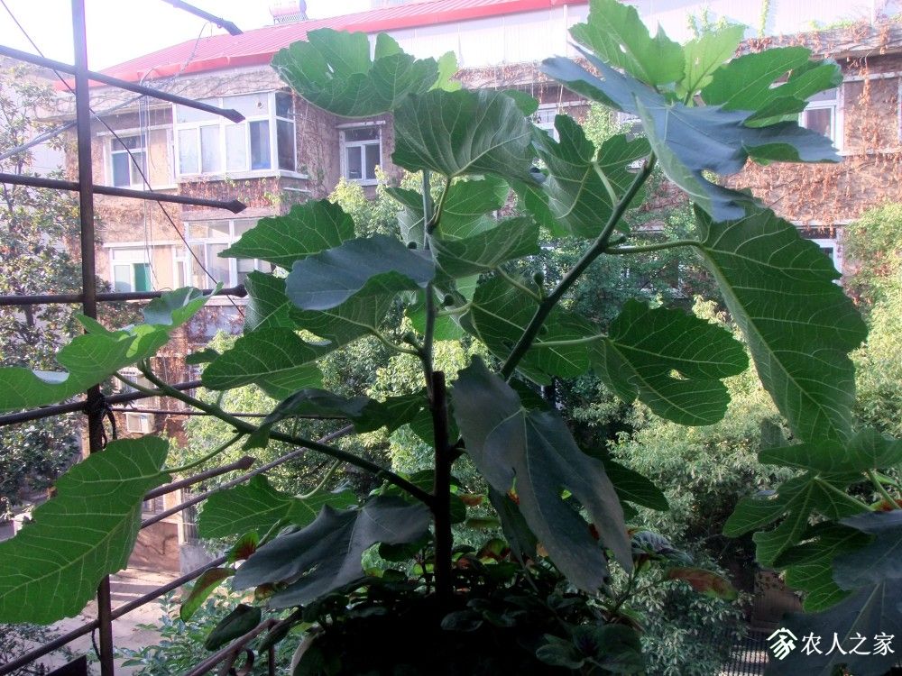 DSCF8767.JPG