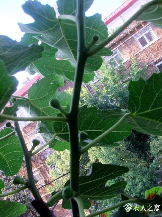 DSCF8771.JPG