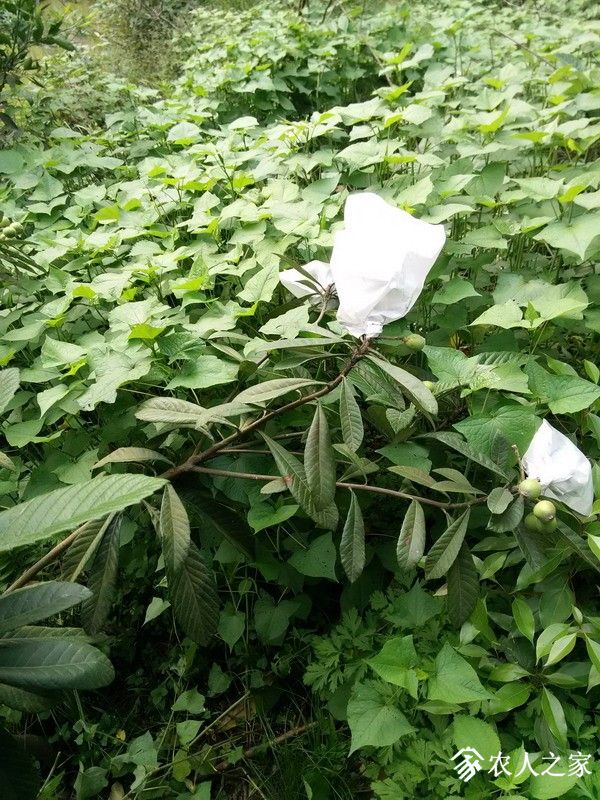 IMG_20190504_084515_СС.jpg