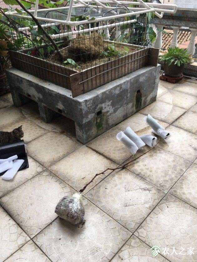 1111.jpg