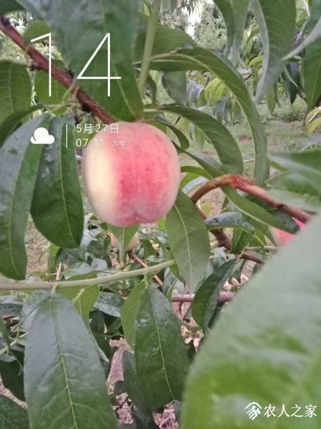 IMG20190527191115.jpg