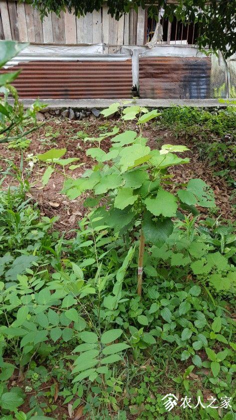 20190529_093417.jpg