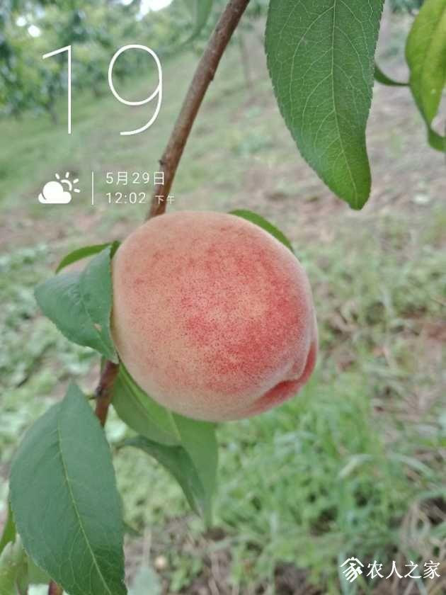 IMG20190529120335.jpg
