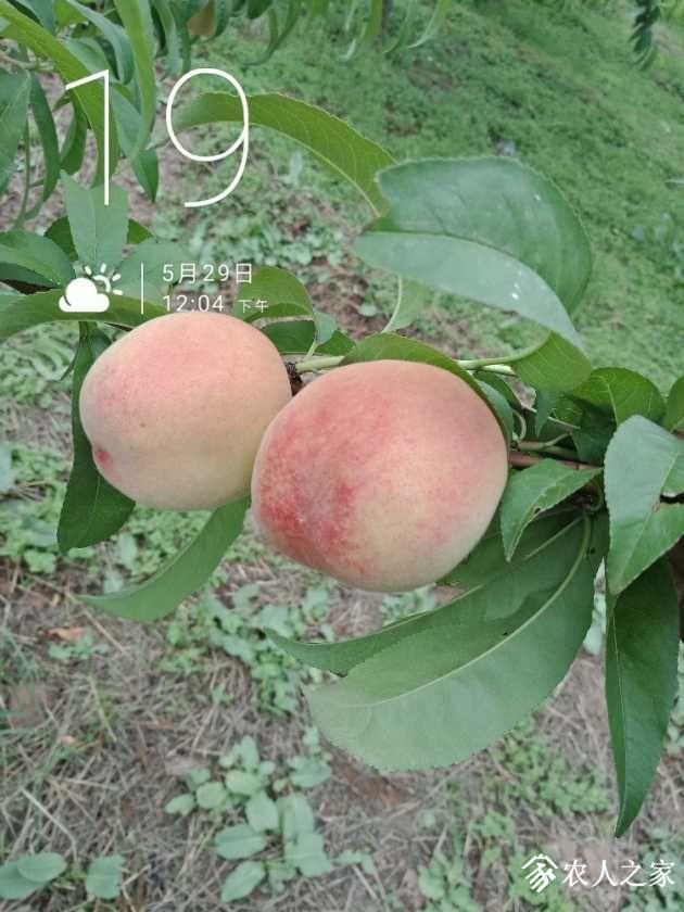 IMG20190529120424.jpg