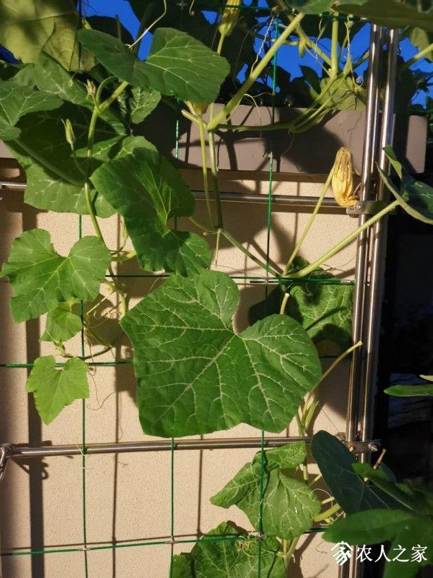΢��ͼƬ_20190531102902.jpg