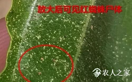 u=3524204420,1331124115&amp;fm=15&amp;gp=0.jpg