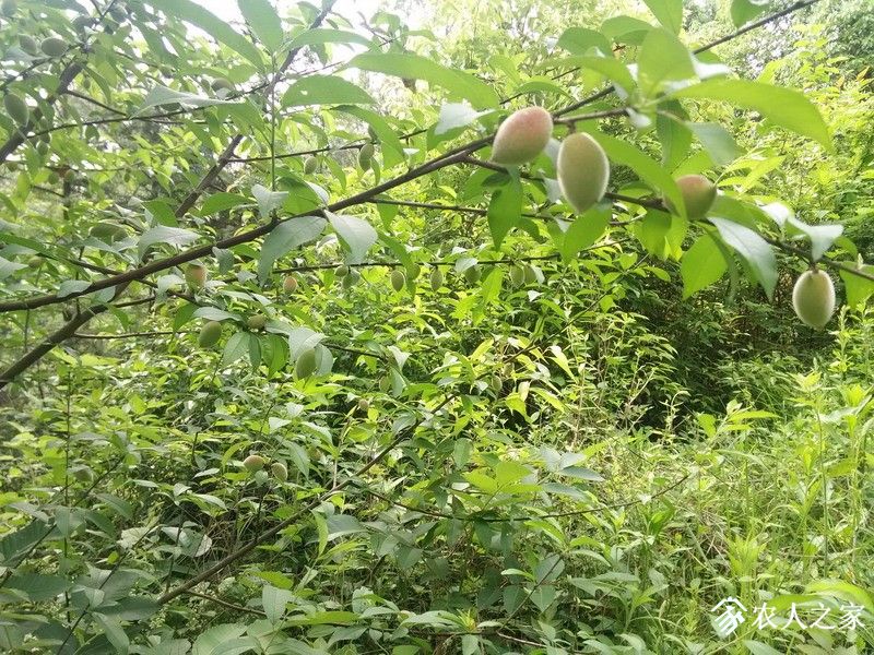 IMG_20190504_094256_СС.jpg