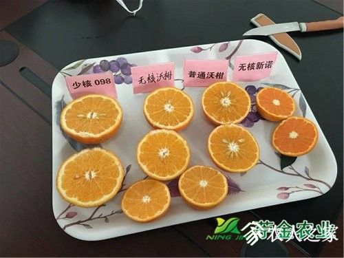 1-1P110163945Z9.jpg