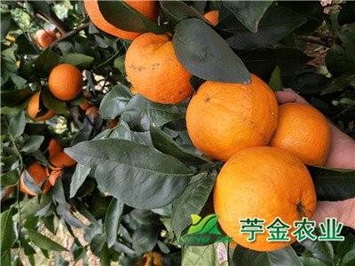 1-1P110164114257.jpg