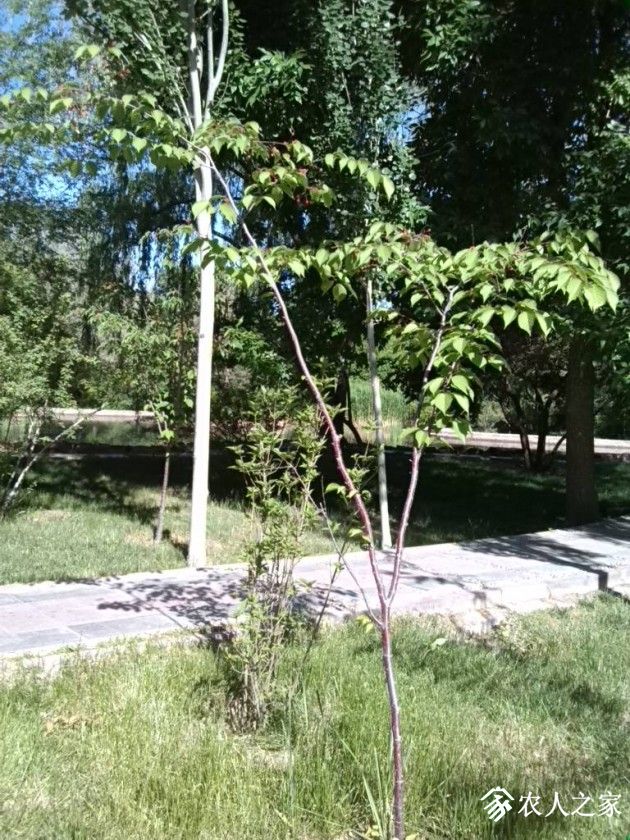 IMG_20190530_100749.jpg