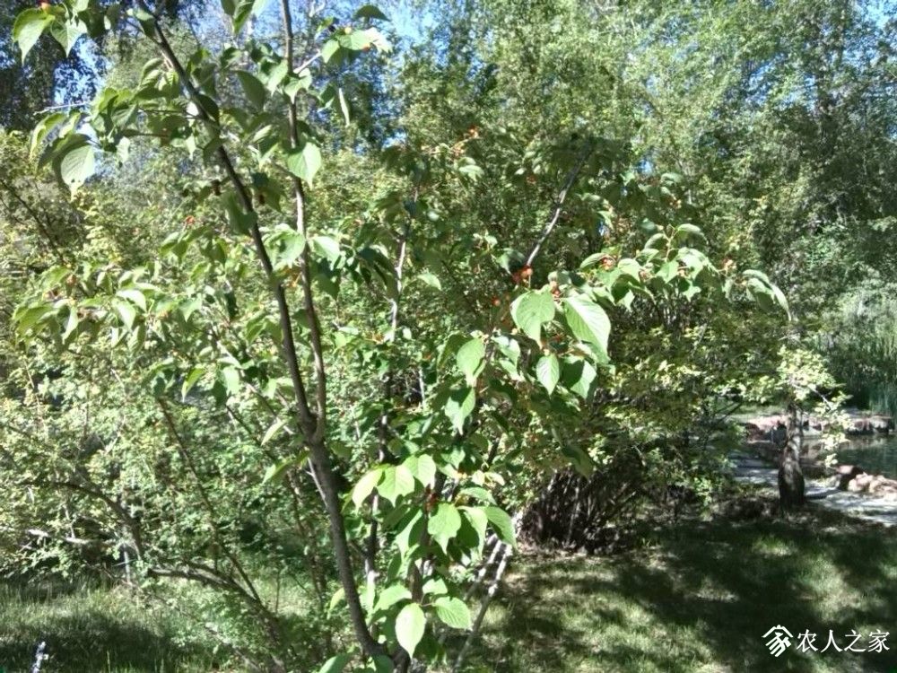 IMG_20190530_100819.jpg