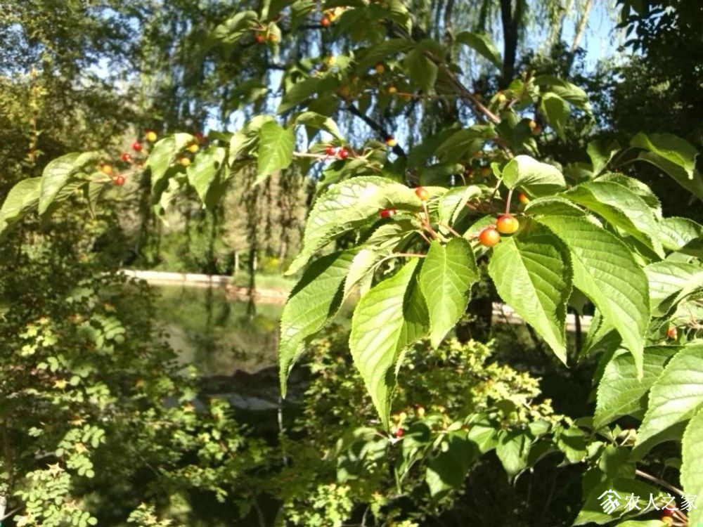 IMG_20190530_100856.jpg