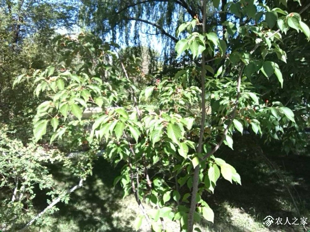 IMG_20190530_101027.jpg