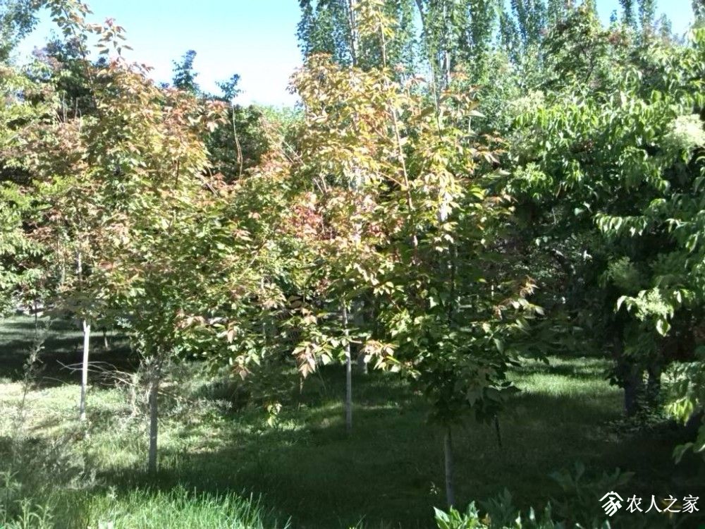 IMG_20190530_101122.jpg