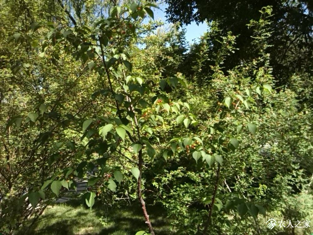 IMG_20190530_105119.jpg