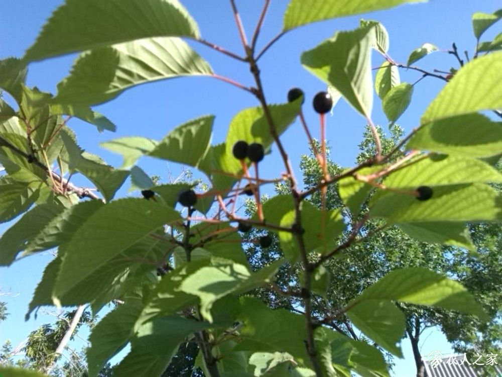 IMG_20190609_084356.jpg