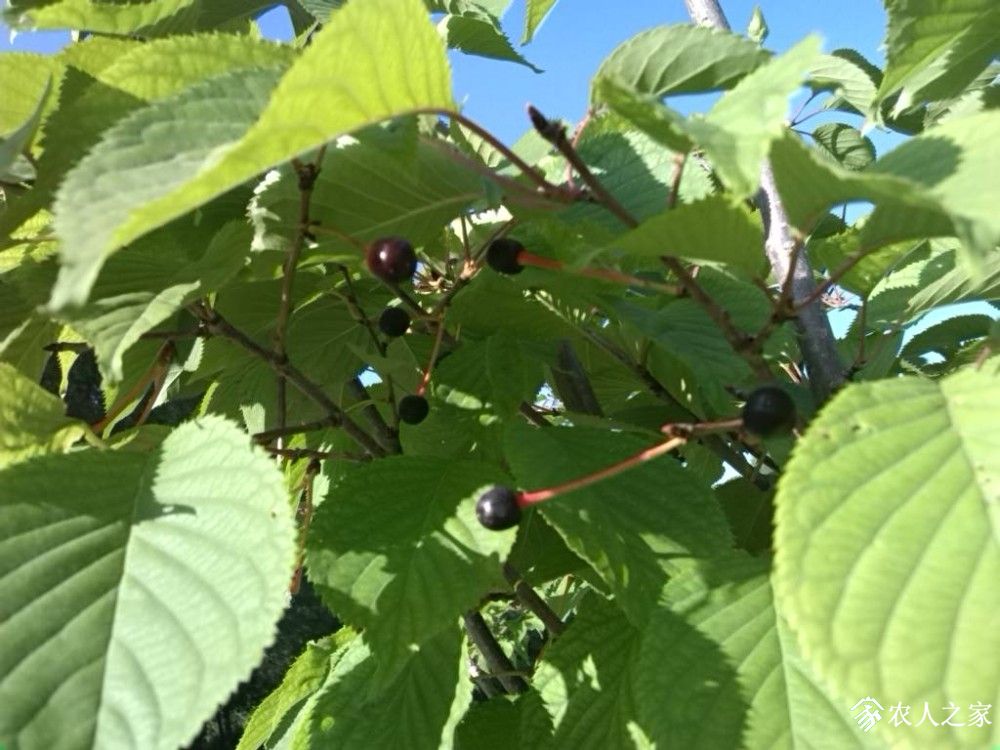IMG_20190609_084516.jpg
