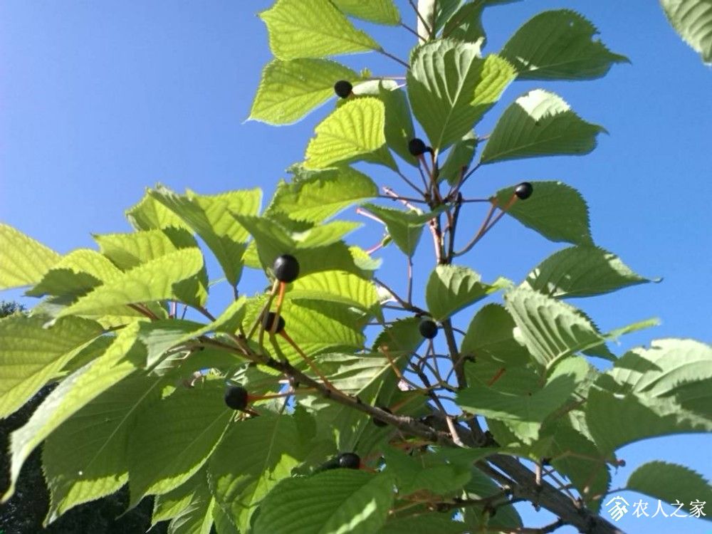 IMG_20190609_084556.jpg