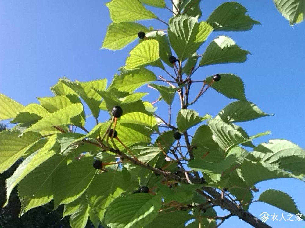 IMG_20190609_084558.jpg