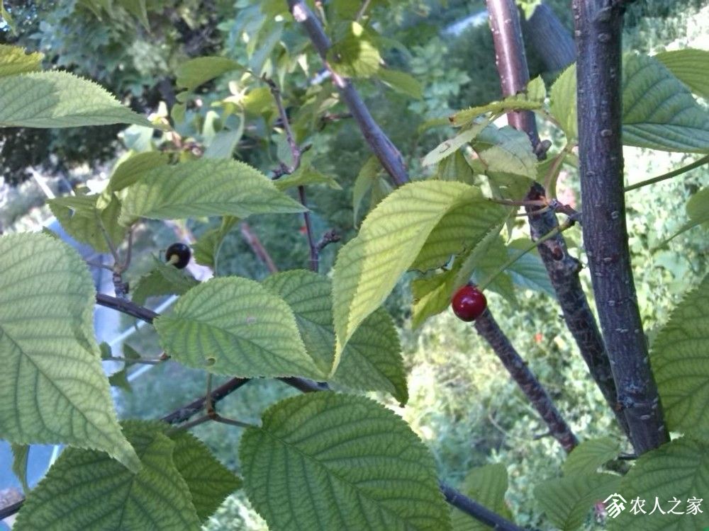 IMG_20190609_084734.jpg