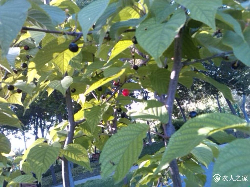 IMG_20190609_084844.jpg