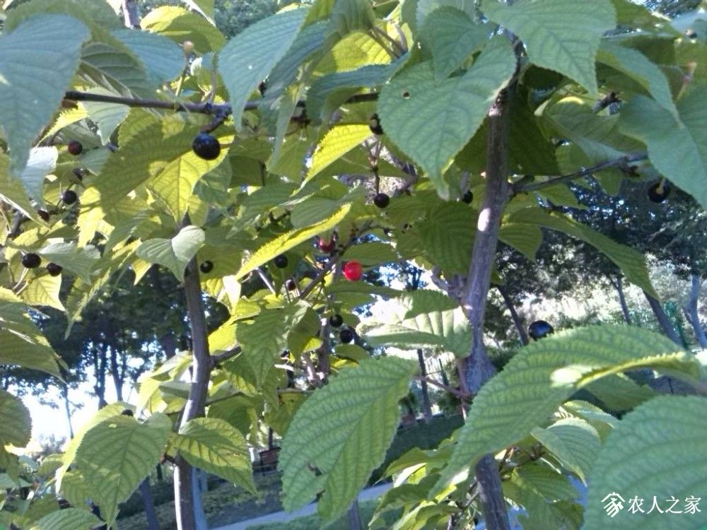 IMG_20190609_084847.jpg