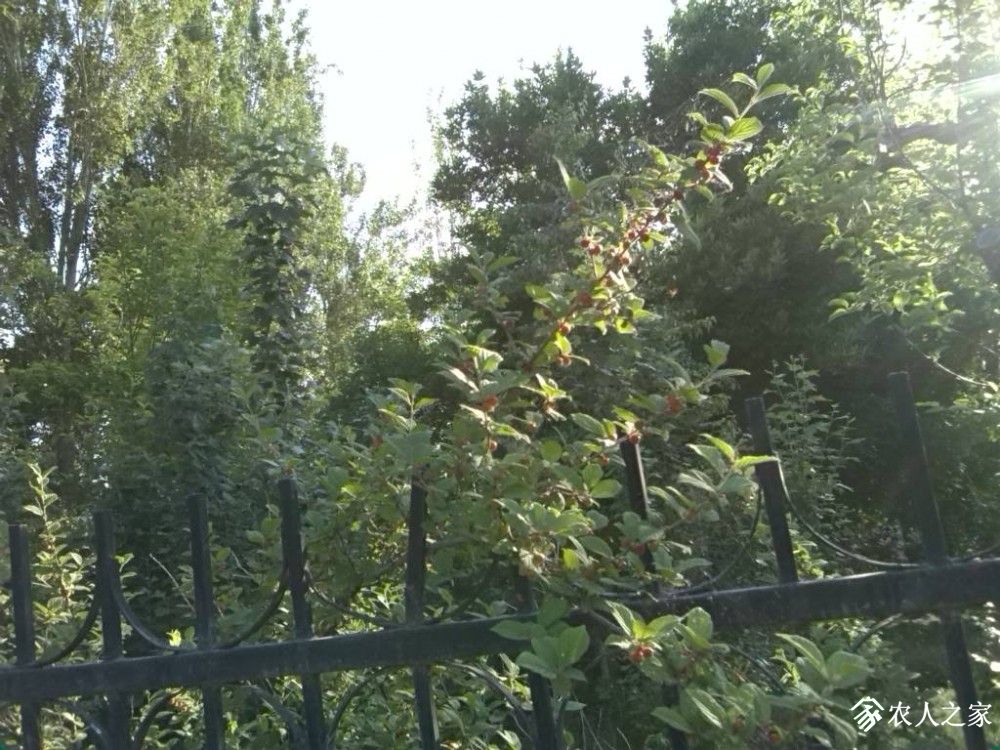 IMG_20190609_084143.jpg