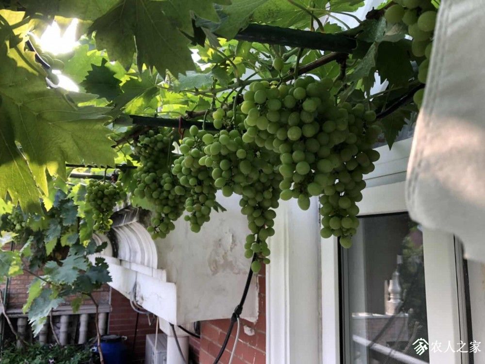 ΢ͼƬ_20190610082738.jpg