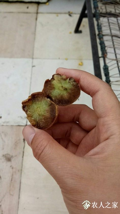 5c388e04b761efcbddd0e246c44e37e.jpg