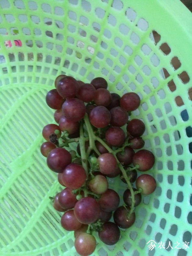 QQͼƬ20190610160039.jpg