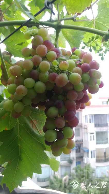 0609191928.jpg