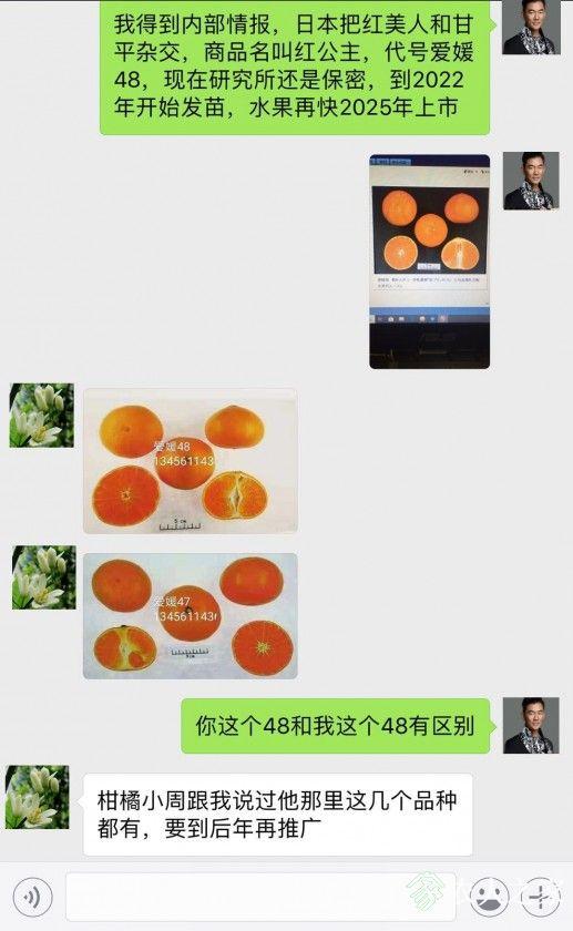 ΢������