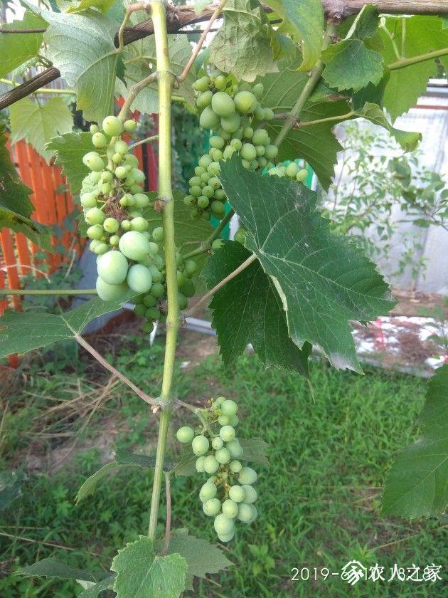 IMG_20190610_181809.jpg