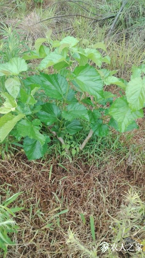 ΢ͼƬ_20190613125327.jpg