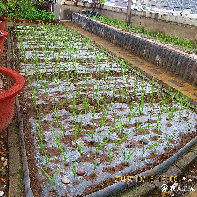 2016.9.15.ֲ 007.jpg