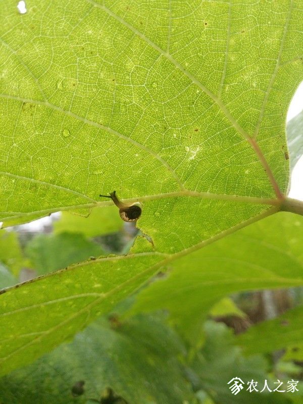 IMG_20190609_080006_СС.jpg
