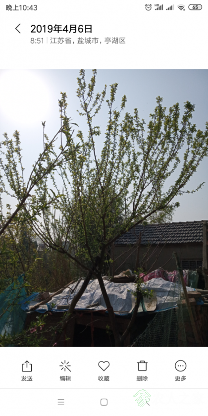 Screenshot_2019-06-22-22-43-07-663_com.miui.gallery.png