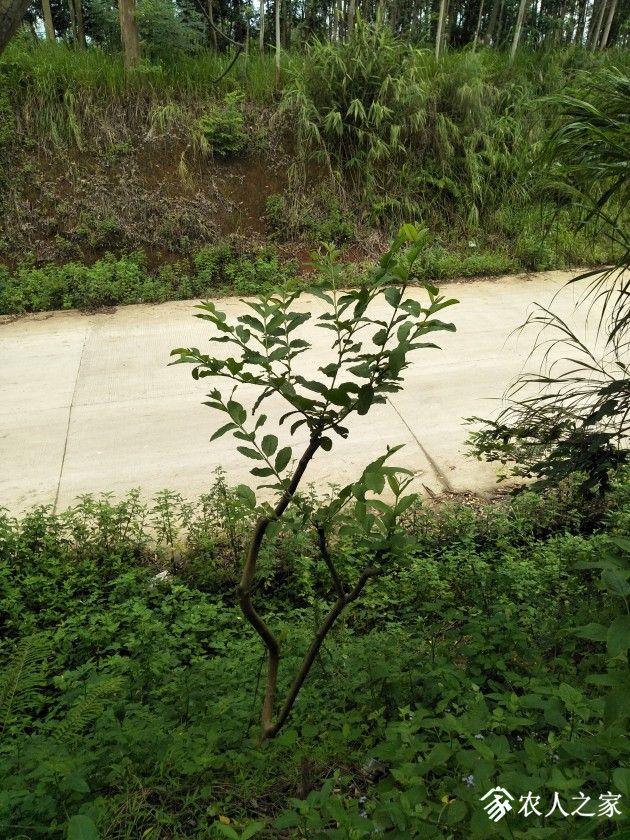 IMG20190626151220.jpg