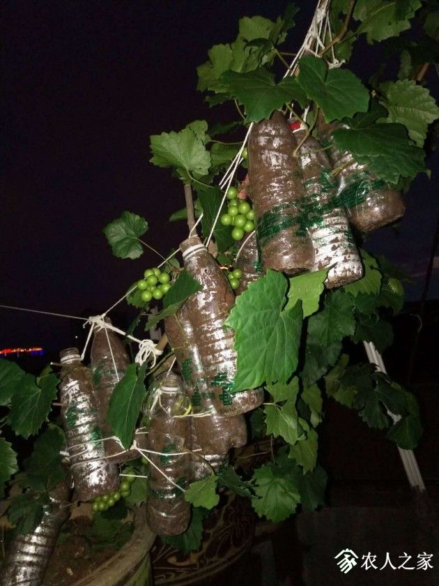 ΢ͼƬ_20190701164647.jpg