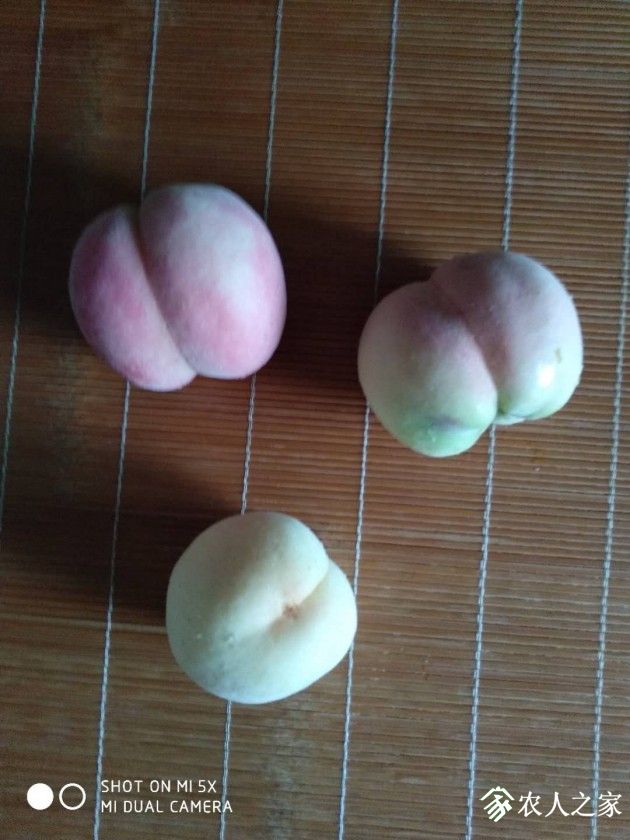 ΢ͼƬ_20190706152317.jpg