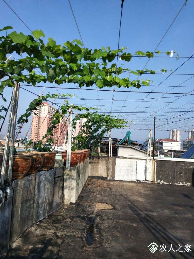 ΢ͼƬ_20190708140819.jpg
